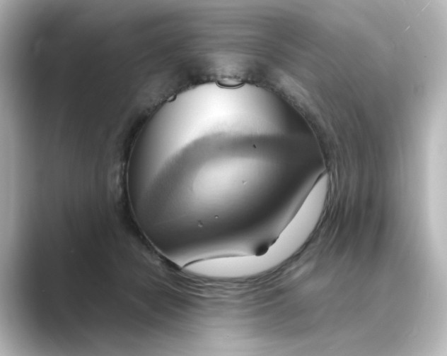 X0000088740462200706212100