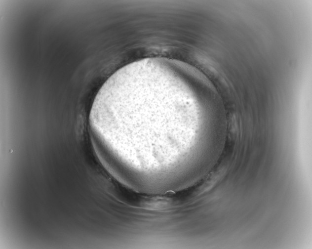 X0000088740463200706212100