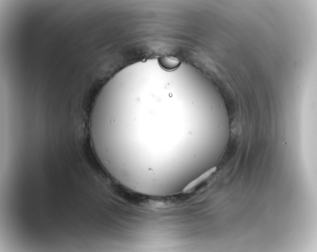 X0000088740464200706212100