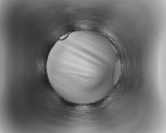 X0000088740465200706212100