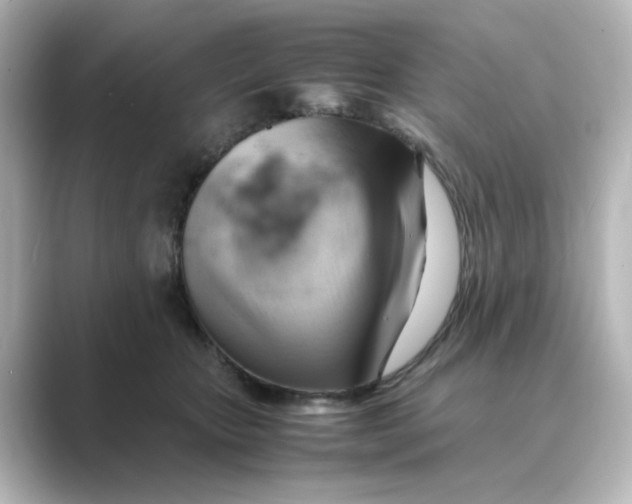 X0000088740467200706212100