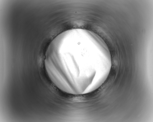 X0000088740468200706212100