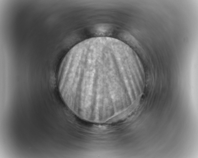 X0000088740469200706212100