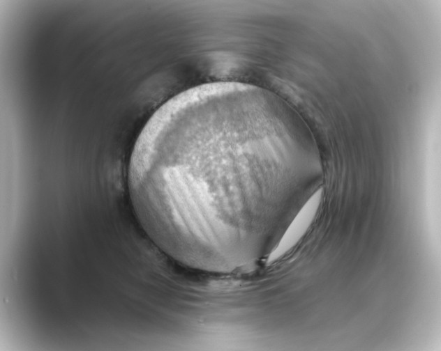 X0000088740470200706212100