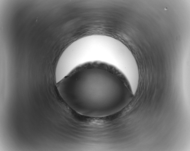 X0000088740471200706212100