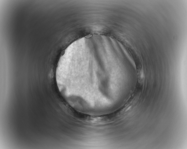 X0000088740472200706212100