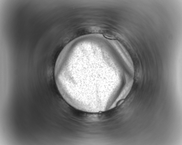 X0000088740473200706212100