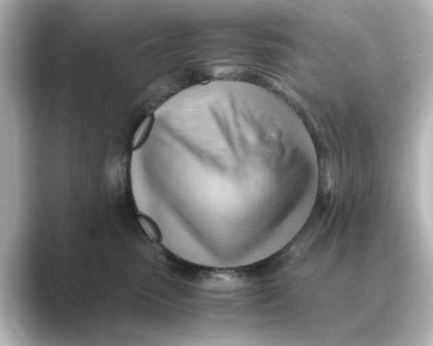 X0000088740475200706212100