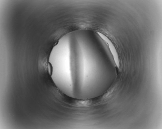X0000088740479200706212100