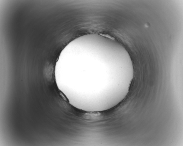 X0000088740480200706212100