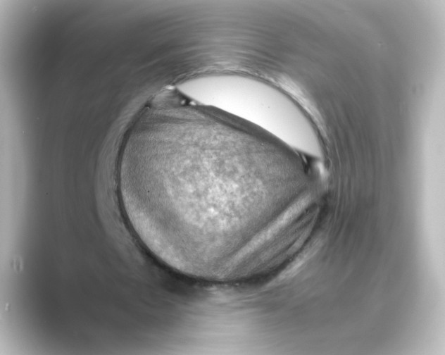 X0000088740481200706212059