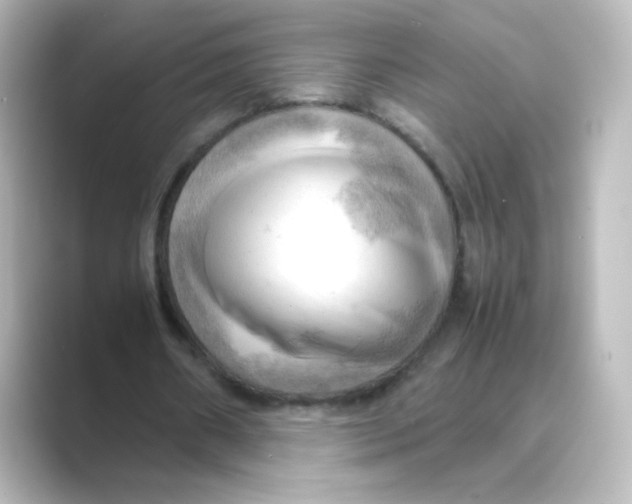 X0000088740482200706212059