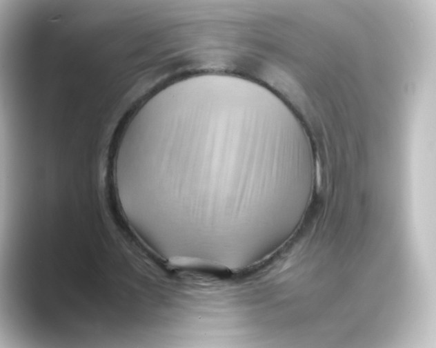 X0000088740483200706212059