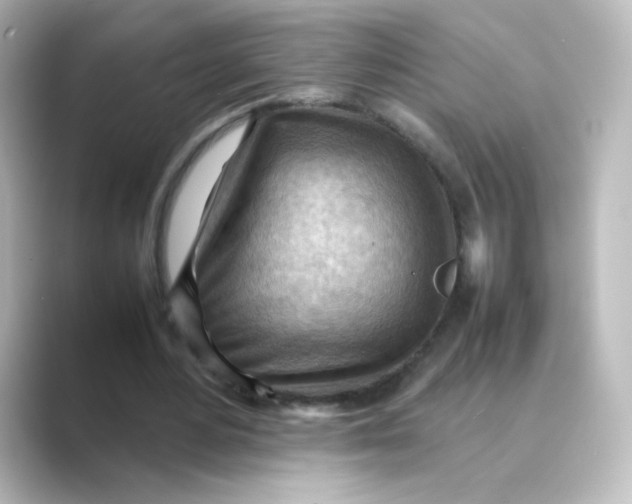 X0000088740484200706212059