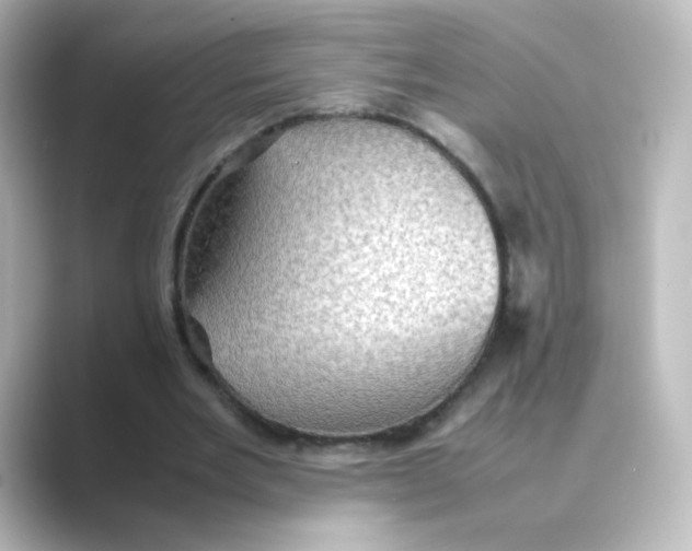 X0000088740485200706212059