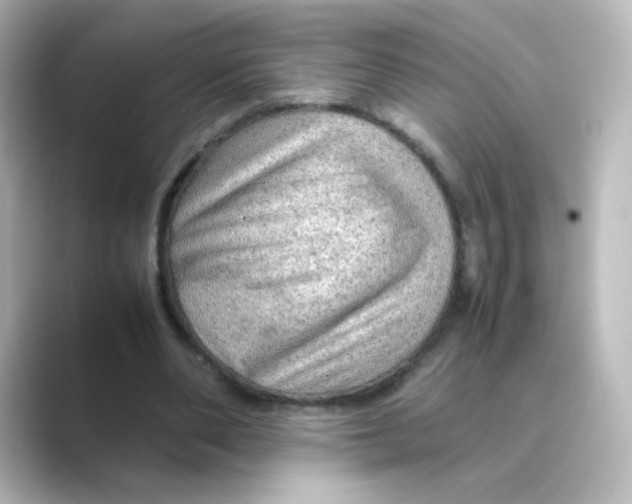 X0000088740486200706212059