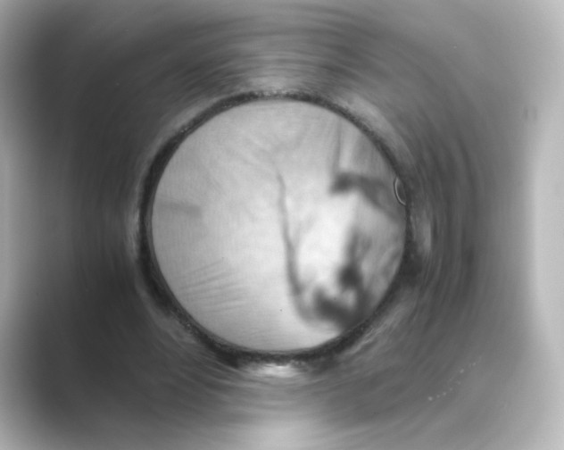 X0000088740488200706212059