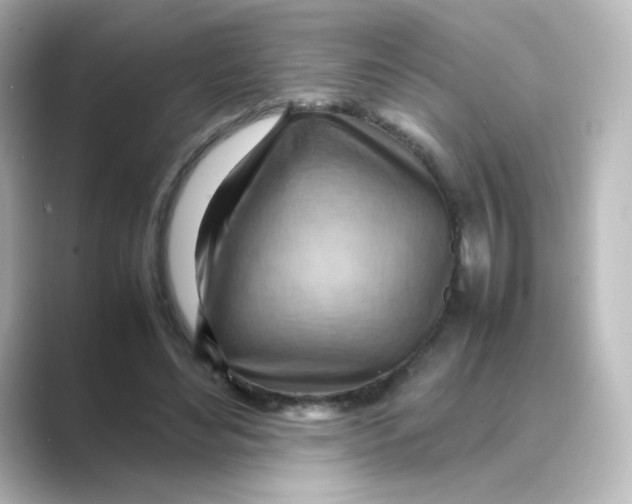 X0000088740492200706212059