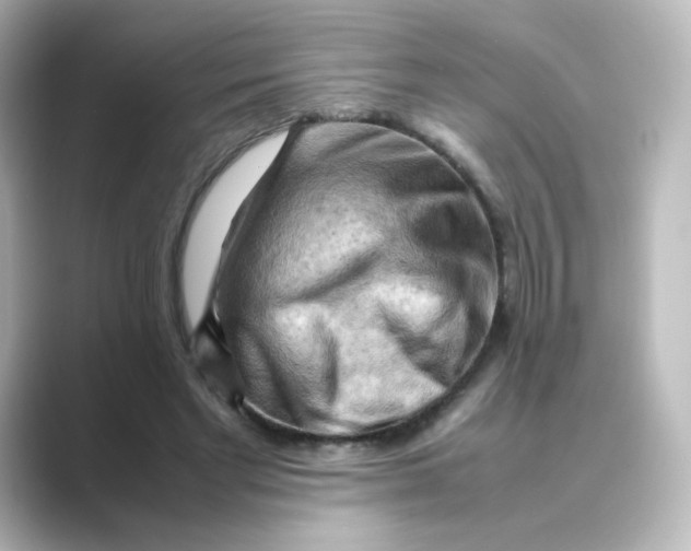 X0000088740493200706212059