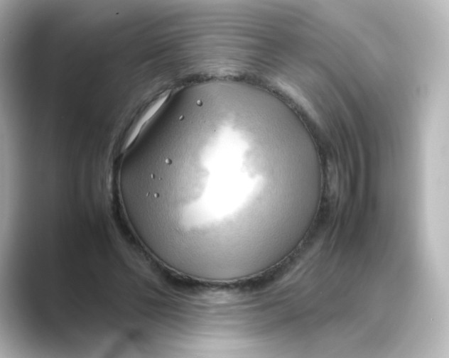 X0000088740494200706212059