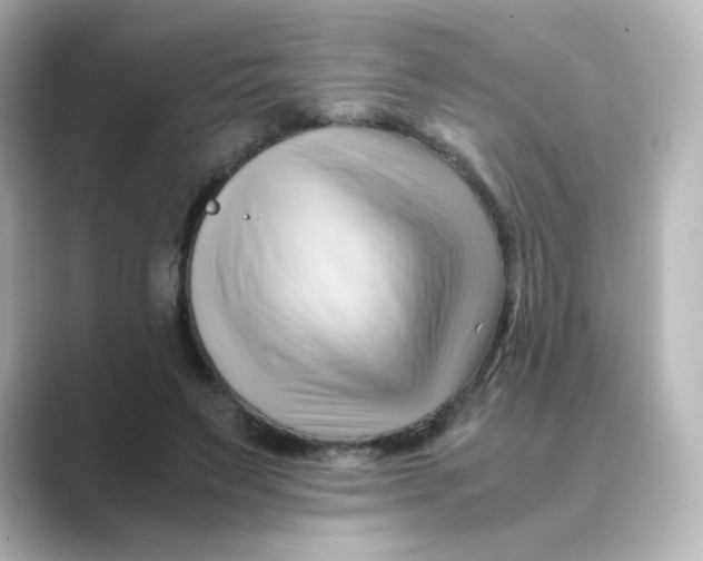 X0000088740495200706212059