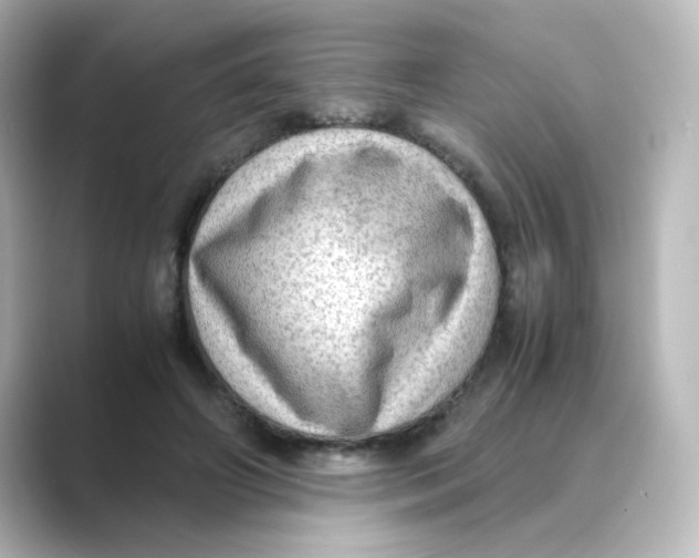 X0000088740498200706212059