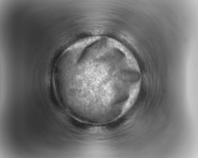 X0000088740499200706212059