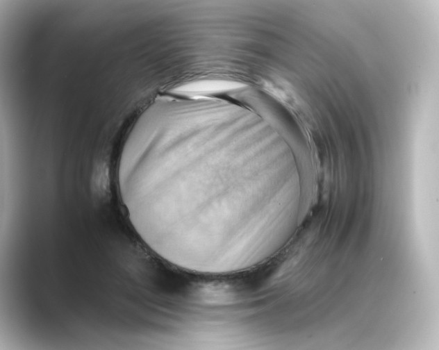 X0000088740500200706212059