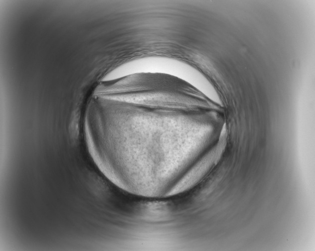 X0000088740501200706212059