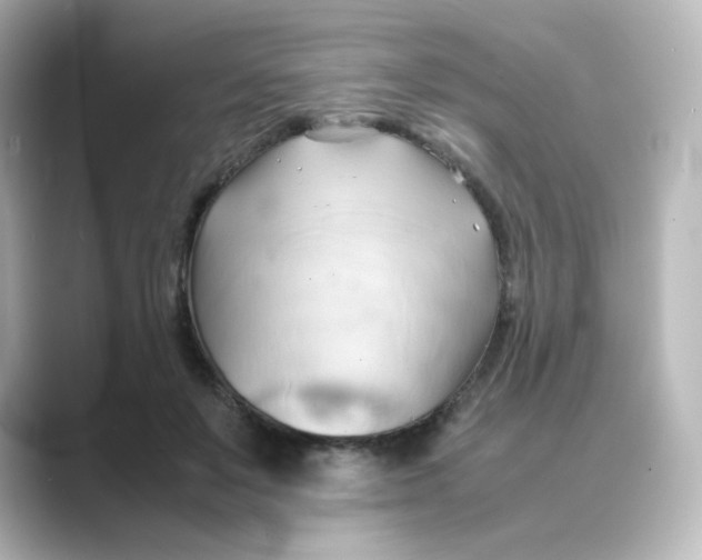 X0000088740503200706212059