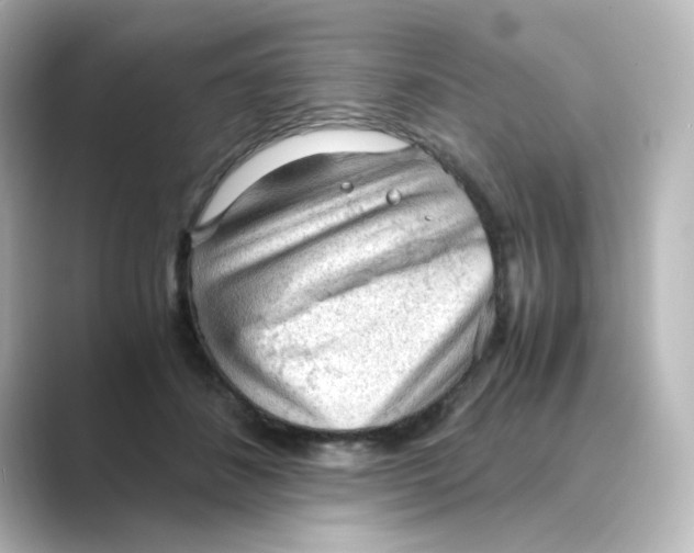 X0000088740508200706212059