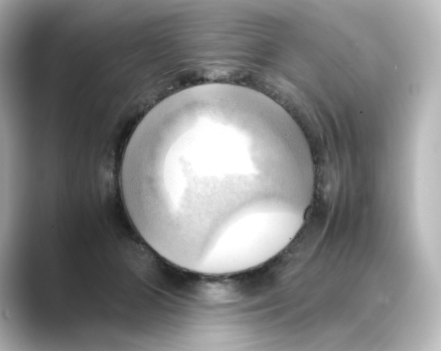 X0000088740510200706212059
