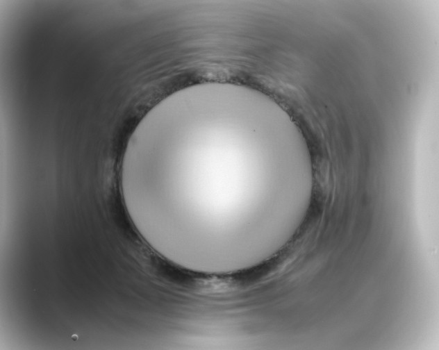 X0000088740511200706212059