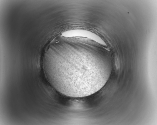 X0000088740512200706212059