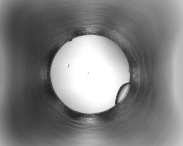 X0000088740514200706212059