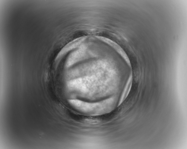 X0000088740515200706212059