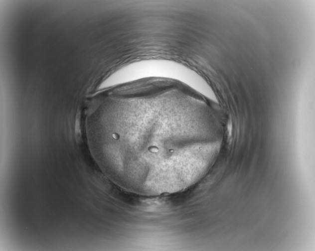 X0000088740516200706212059