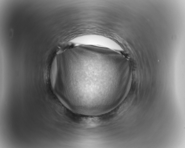 X0000088740517200706212059