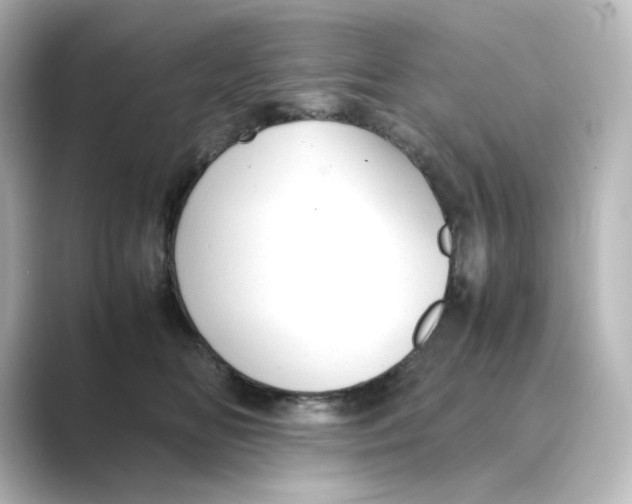 X0000088740518200706212059