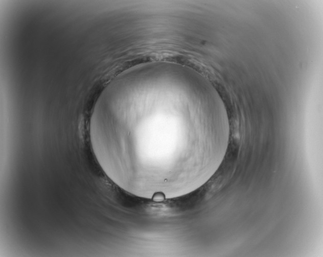 X0000088740519200706212059