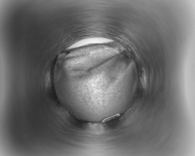 X0000088740520200706212059