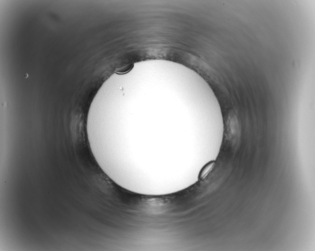X0000088740522200706212059