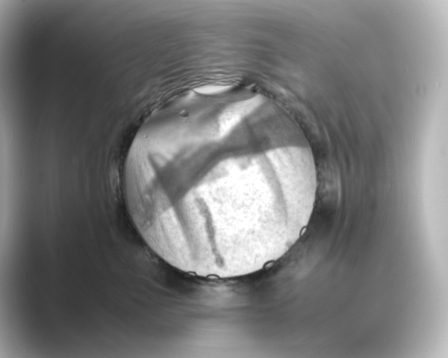 X0000088740523200706212059