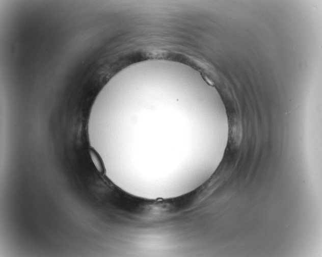 X0000088740525200706212059