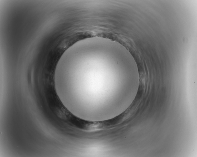 X0000088740527200706212059