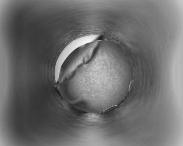 X0000088740528200706212059