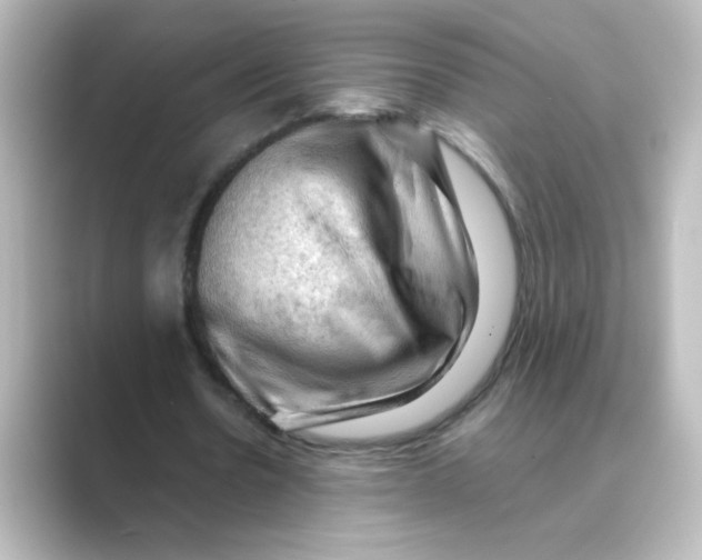 X0000088740530200706212058