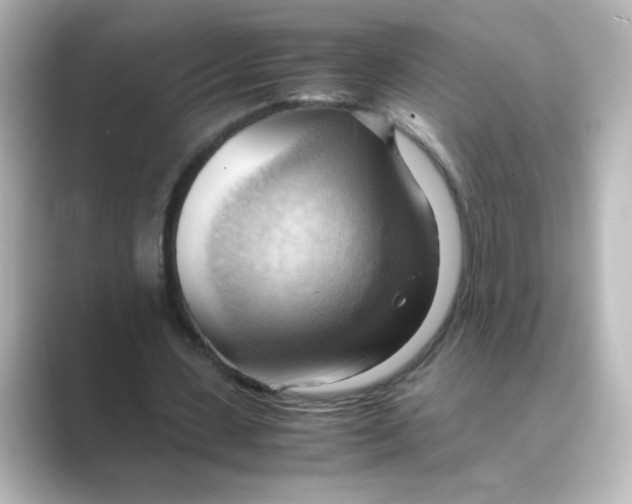 X0000088740531200706212058