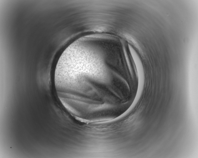 X0000088740532200706212058