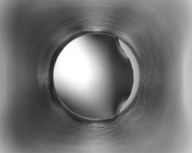X0000088740536200706212058